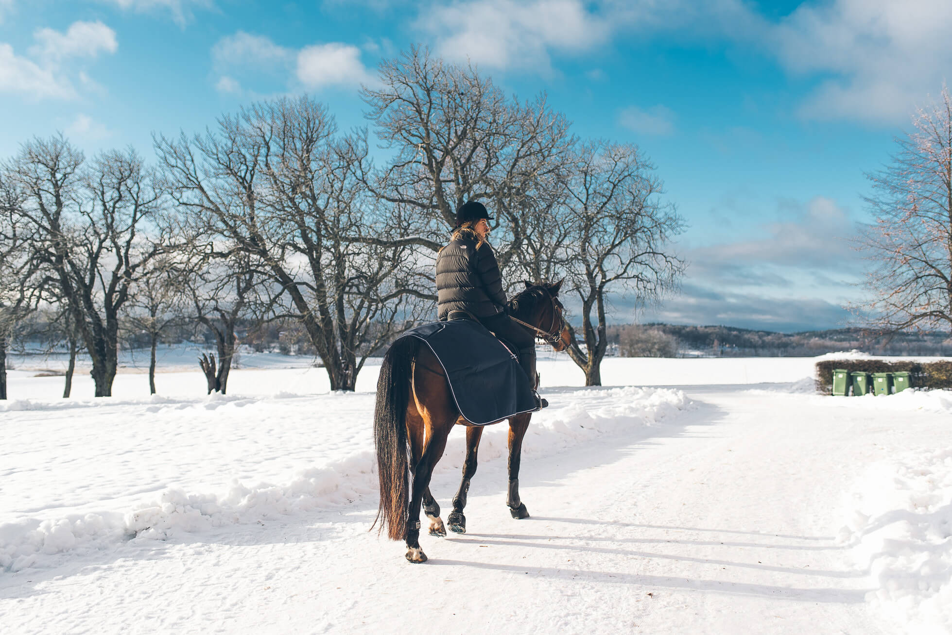 janni-deler-horses-snowDSC_6537